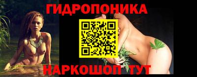 прущие крисы Ачхой-Мартан