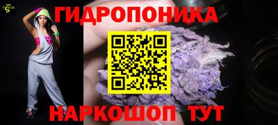 кокс Баксан