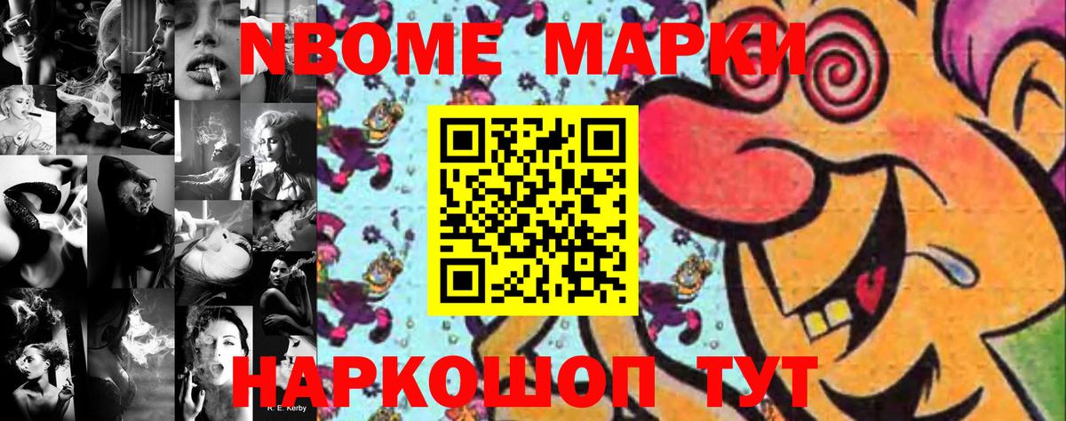 МЕФ Великий Новгород